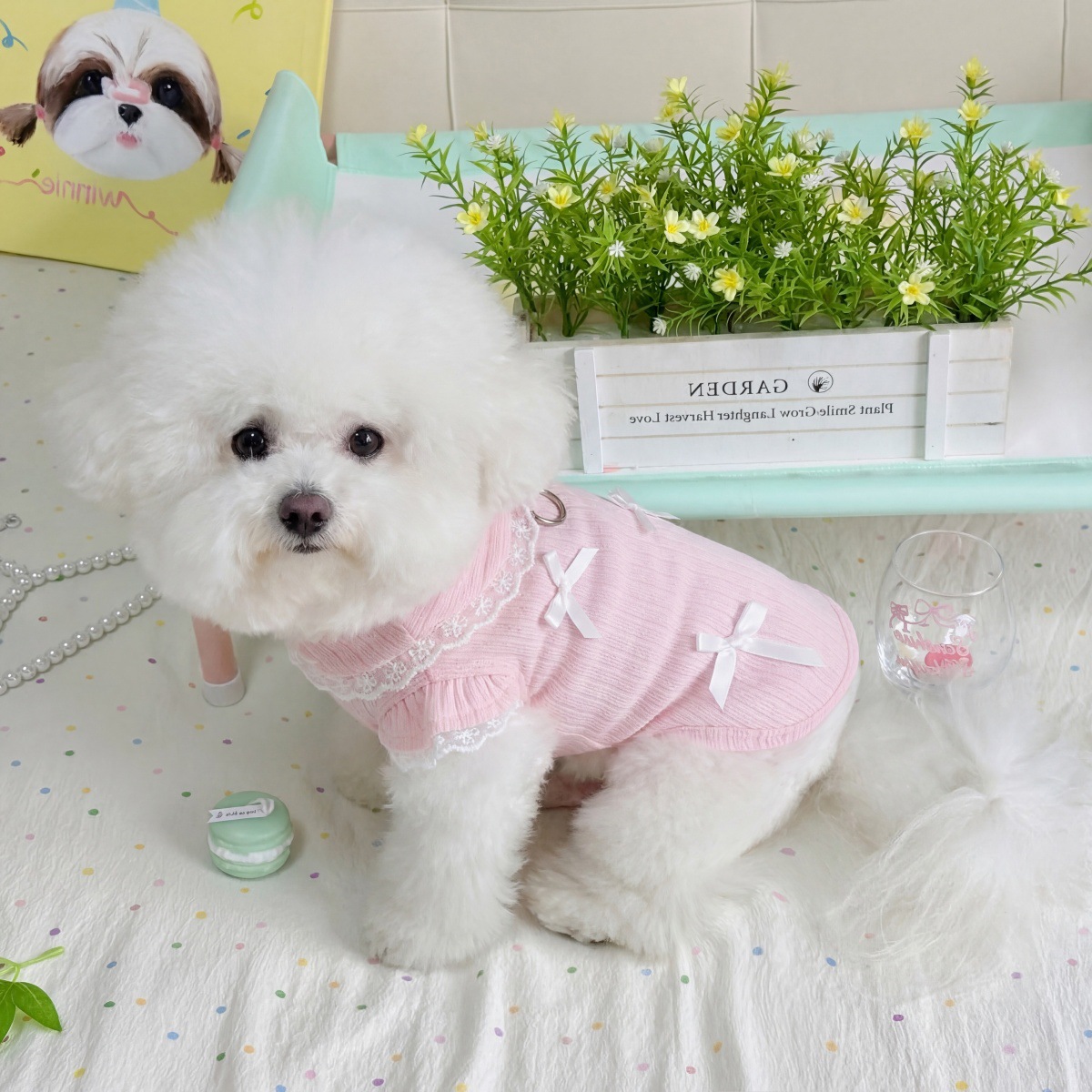 Pet Spring Lace Bow Vest Can P - огляд і ціна Lace Teddy Lingerie