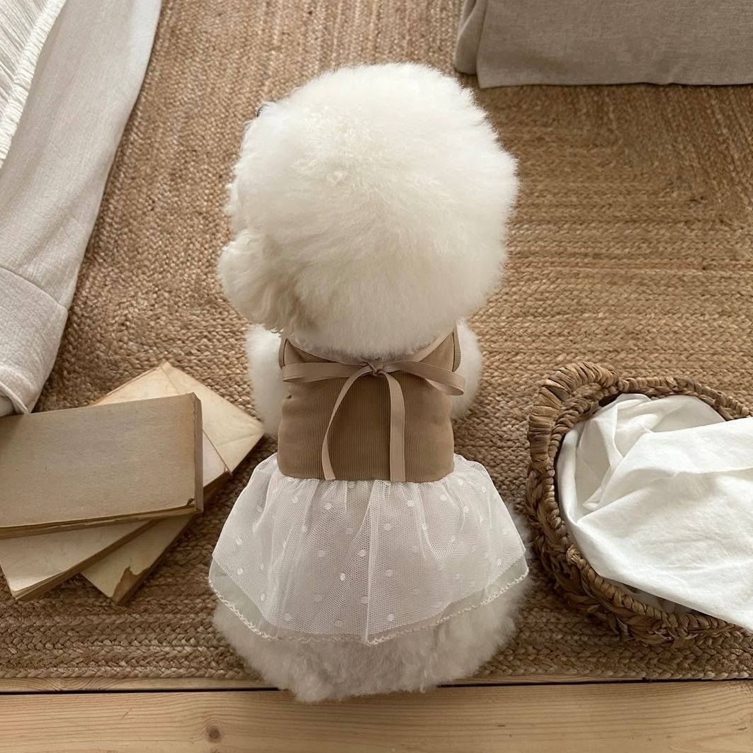 Spring and Summer Pet Lace Cam - огляд і ціна Lace Teddy Lingerie