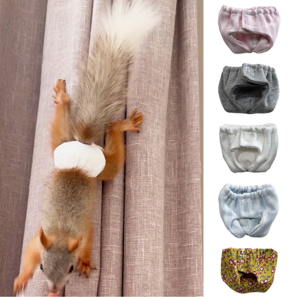 Absorbent Squirrel Diapers Lea - огляд і ціна Period Panty Absorbent